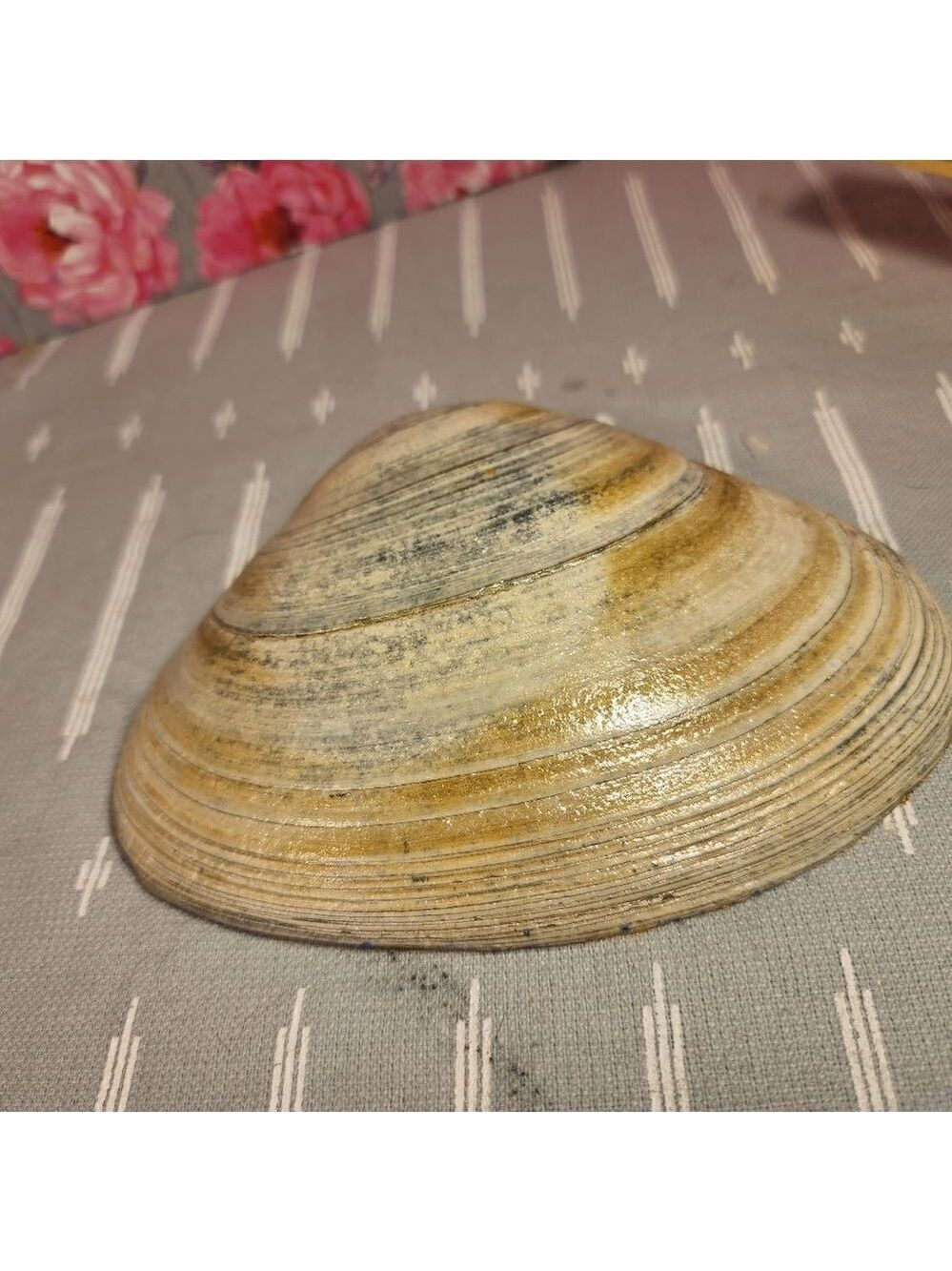 DECOUPAGE CLAM SHELL DECOUPAGE BLUE PATTERN ON A CLAM SHELL TRINKET DISH - Picture 11 of 11